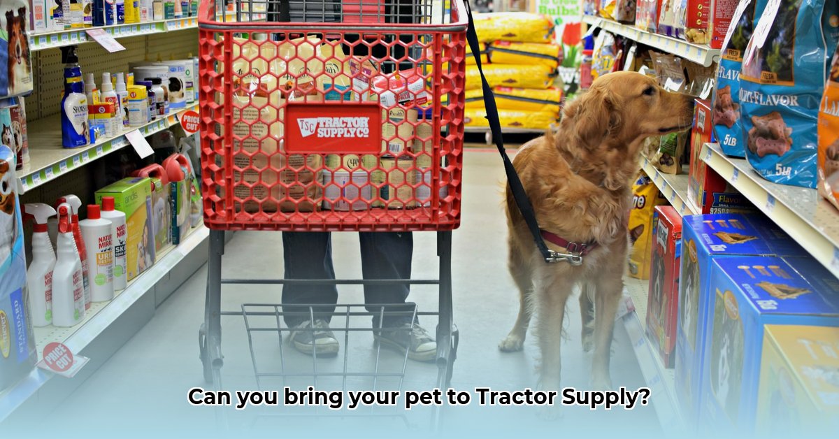 can-you-bring-pets-in-tractor-supply